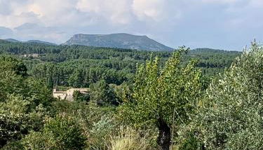 Mas Héritage - Photo 5