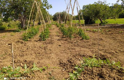 Cortile nel Conero - Foto 35