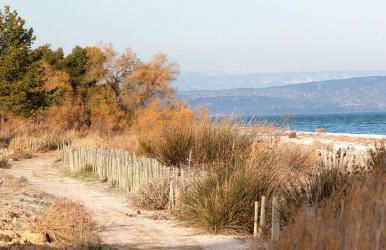 Cosy Studio - Foto 12