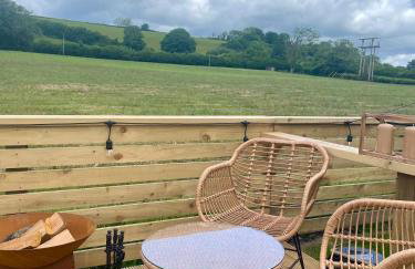 Coedydd - Woods - Foto 19