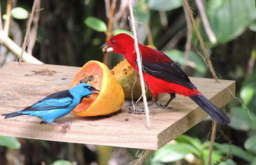 Praia Guaratuba Condominio Costa do Sol Portaria 24hs - 600mt da praia - Foto 27