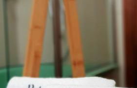 Pinhouse Apartment - Foto 14