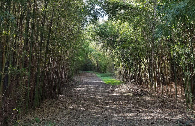 Escursione all'isola Martín García in barca - Foto 6