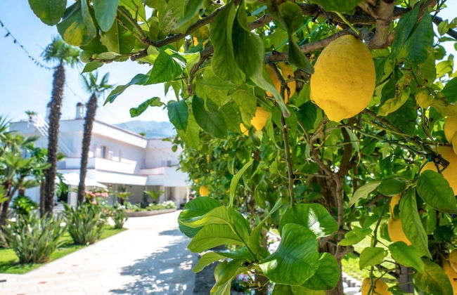 Villa Romeo in Vico Equense - Foto 7