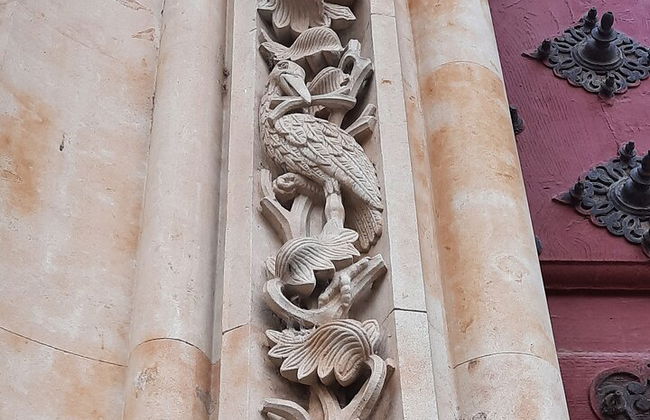 Tour privato speciale per famiglie con bambini a Salamanca - Foto 6