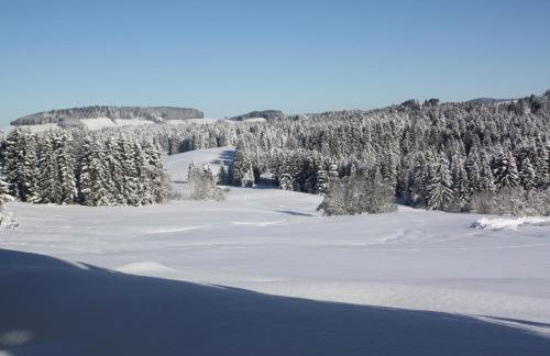 Ferienwohnung Nagelfluh Allgäu - Foto 12