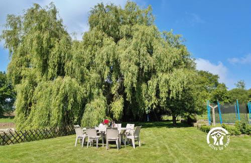 La grande reignière - Photo 45