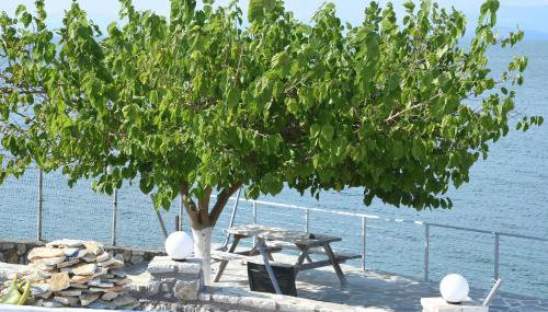 Iris Villas - Foto 3