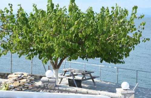 Iris Villas - Foto 3