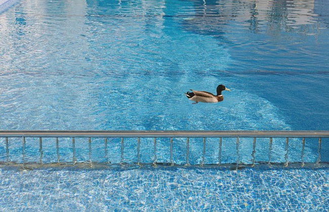 Aparthotel Novo Mar - Foto 105