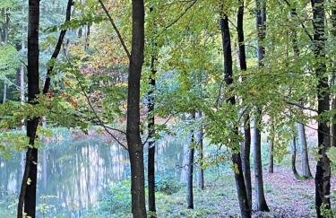 Gospodarstwo Agroturystyczne LOBELIA - Foto 27
