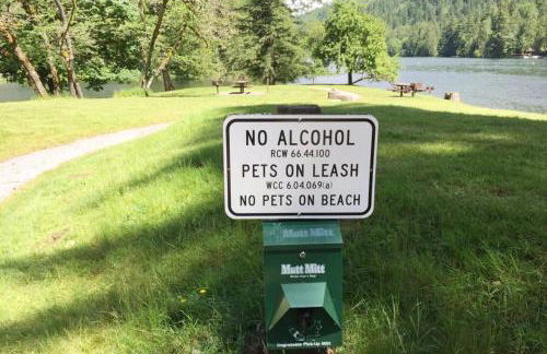 Silver Lake #67 - Foto 46