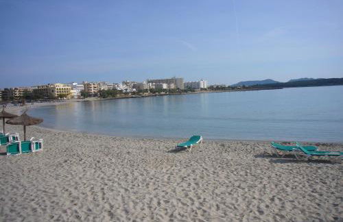 Fonoll Mari - Foto 51