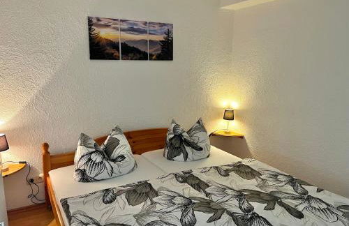 Ferienapartments Erzpanorama - Foto 7