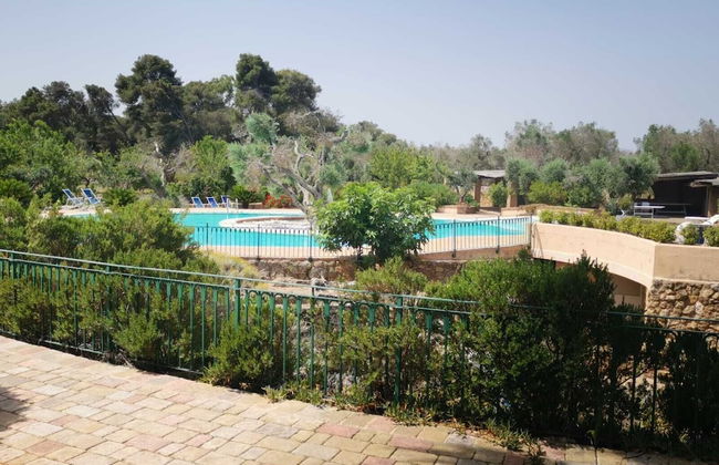 Masseria Provenzani - Foto 71