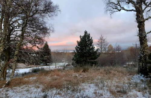 Betula Chalet – coast & country in the Highlands - Foto 26