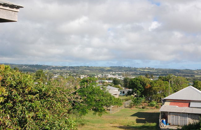 The Terraces at Mangrove - Foto 49