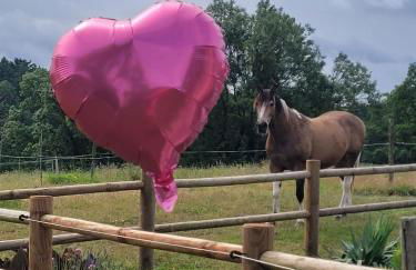 Les Crins au Bord du Lac - Foto 19