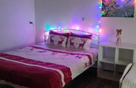 Stone Yard - Photo 24