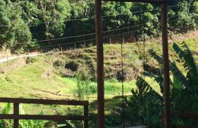 Recanto Schmidt - Photo 9