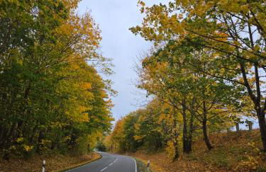 Ferienwohnung OstseeBlick Rerik - Foto 44