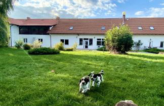 Gospodarstwo Agroturystyczne Zasadkowe Bory - Foto 25