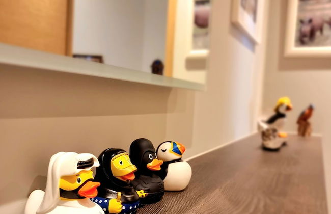 Unique Victorian Apartment in Edinburgh - Foto 35