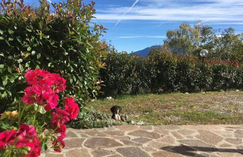 Agriturismo Al Franet - Photo 47