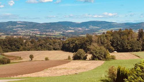 Adlerhorst - Alpenblick & Ruhe, Großes Haus für Gruppen - Foto 4