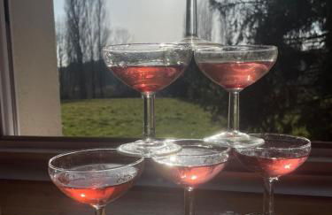 La scierie Massonat - Foto 25