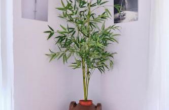 Casa D'Eira - Photo 13