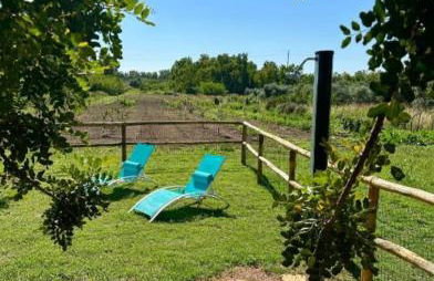 Federica's apartment - Foto 8