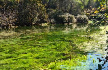 Apartmani Rudi - Foto 78