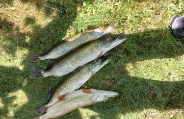 Dom pod gwiazdami - Foto 35