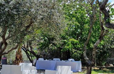 Tenuta Oliva - Foto 29