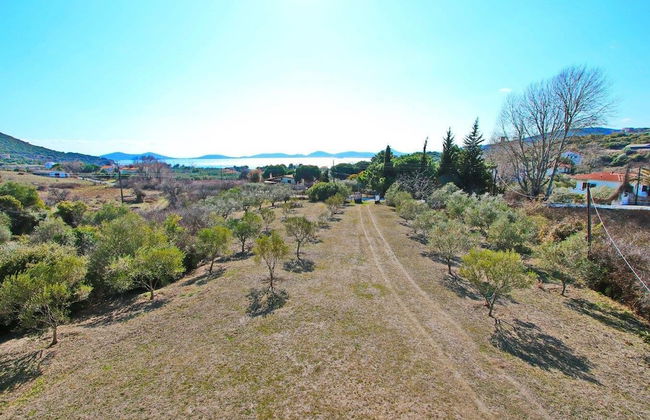 Pantso Villa - Photo 18