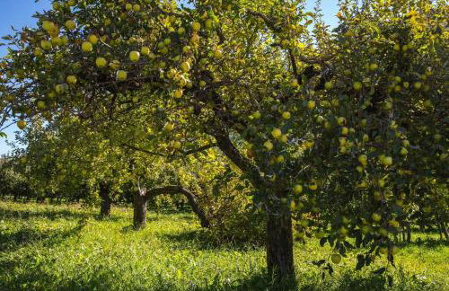 Maison Plan de Dieu - Foto 23