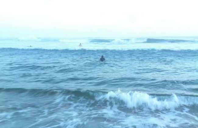 Your Ocean Oasis Ocean Country Views Spa Pet Friendly Fireplace - Foto 69