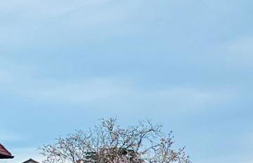 Chez Pierrette à deux pas du Château de Meursault - Foto 10