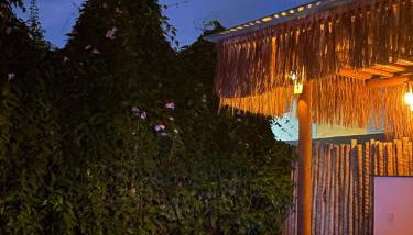 Casa nobre Trancoso - Foto 1