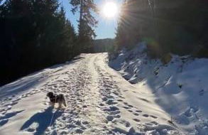 Schwarzwaldliebe Ferienwohnung mit eigenem Garten - Foto 44