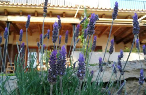 Finca rural s'Estepa - Photo 31