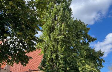 APARTAMENT CENTRUM - Foto 12