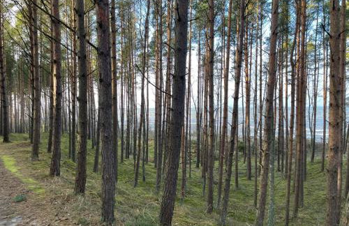 Wygodny eko domek koło nadmorskiego Parku Krajobrazowego - Foto 50