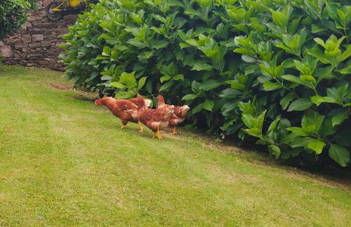 La casa de atrás - Foto 31