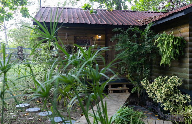 Quinta Pavo Real Complex by Acomodo - Foto 48