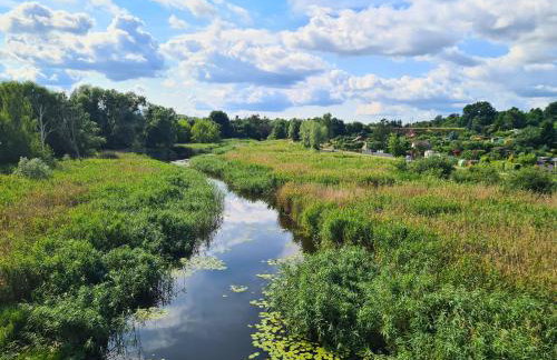 Przystań Natura - Foto 49