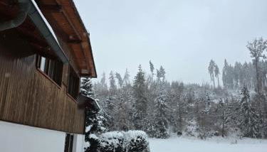 Alte Ölmühle FeWo im EG "Rennsteig" im Herzen des Thüringer Waldes - Foto 3