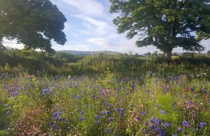 The Smiddy House - Foto 14