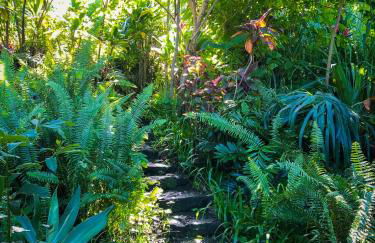 Gingerhill Farm Retreat - Foto 46